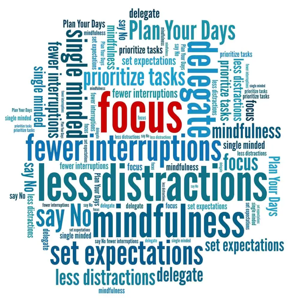 Focus word cloud
