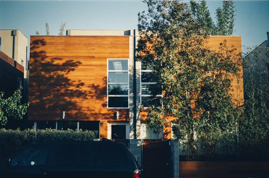 Modern house with wood cladding behind tree