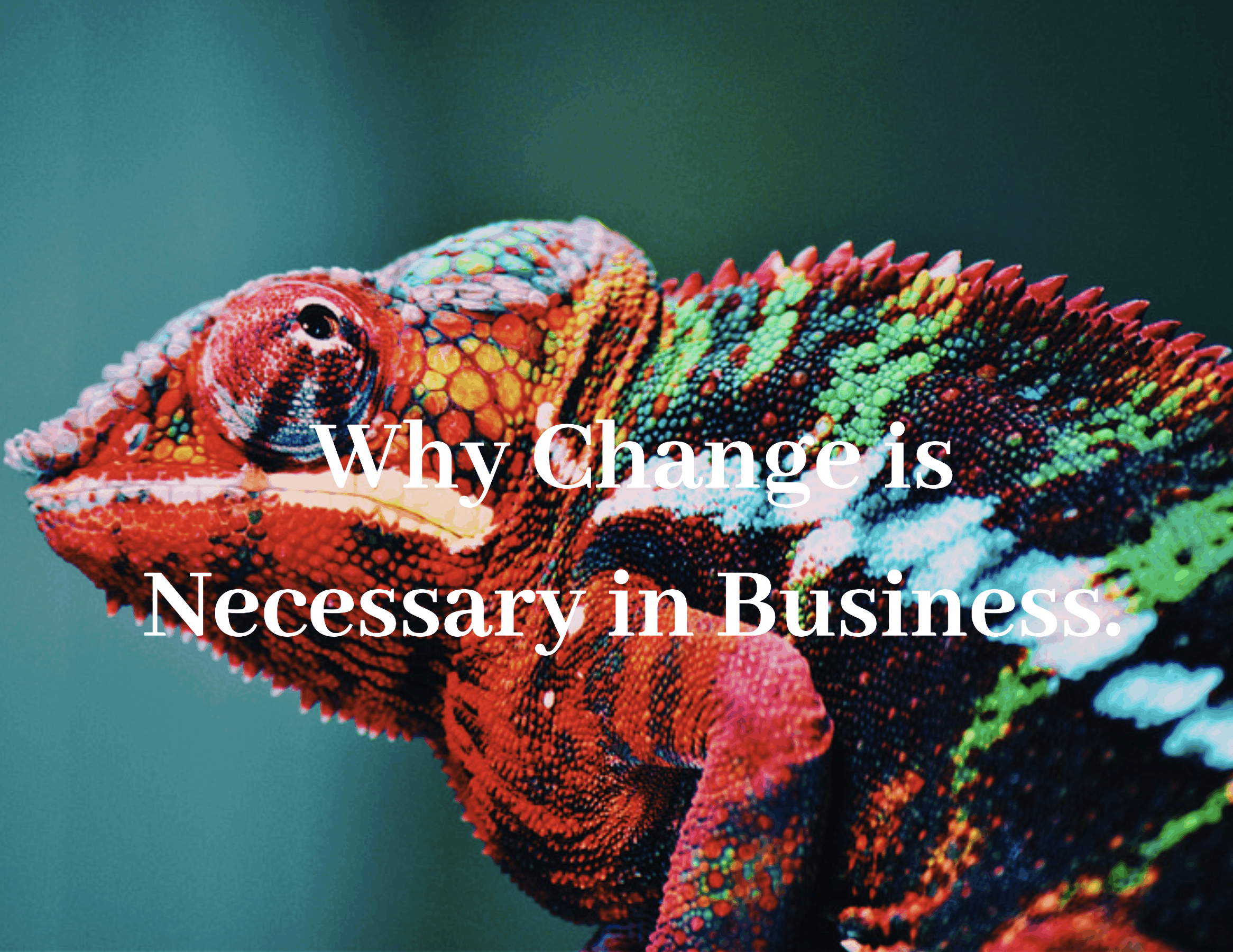 Cameleon that changes color, change is very important in business.