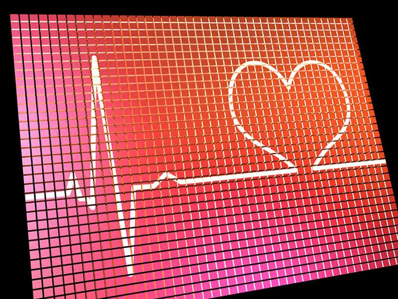 Heart Rate Display Monitor Shows Cardiac And Coronary Health