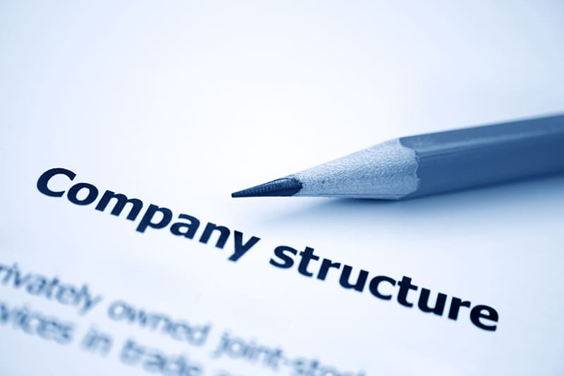 Company structure