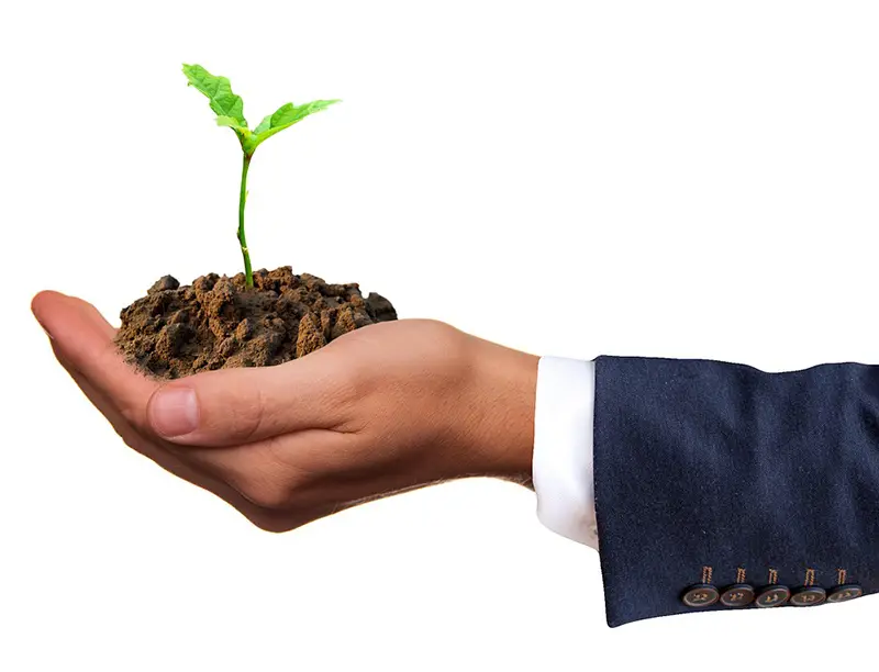5 Green Businesses You Can Start