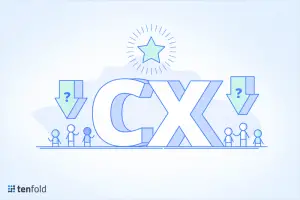 Who Owns Customer Experience (CX)