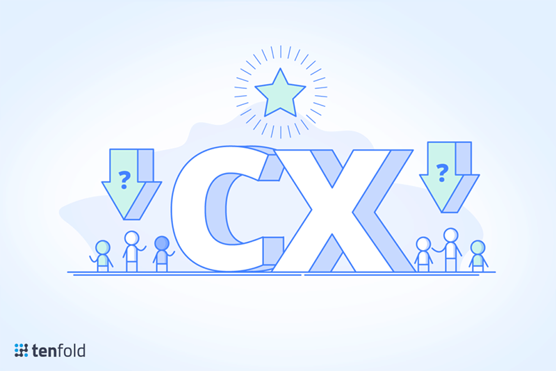 Who Owns Customer Experience (CX)