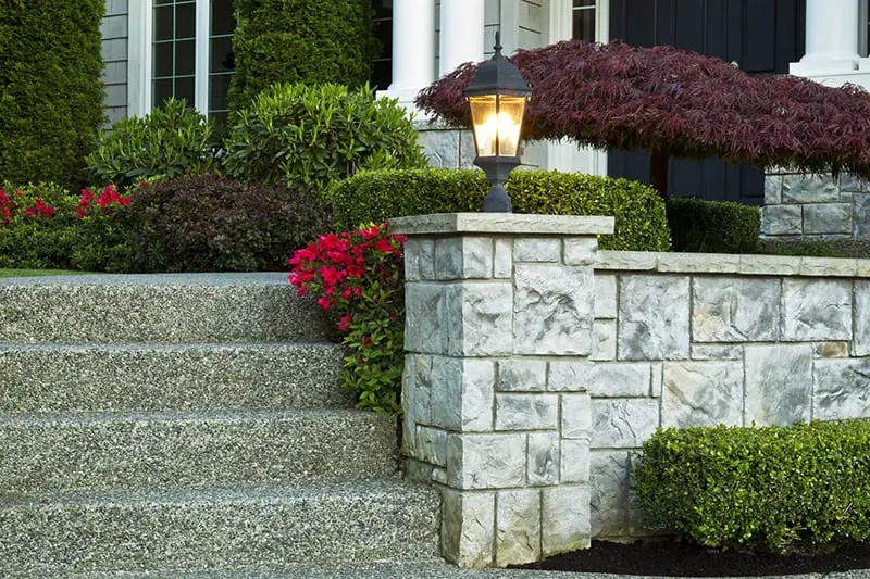 Gorgeous curb appeal - plants and flowers outside a property