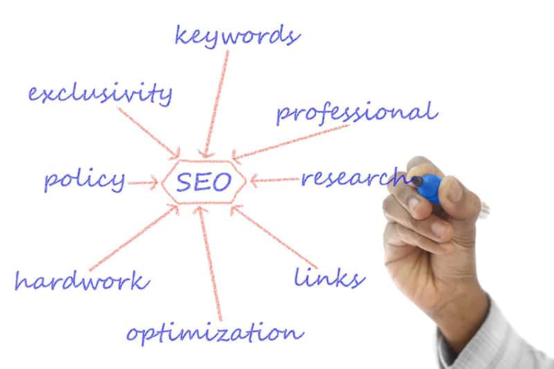 activities involved in SEO - Search Engine Optimization