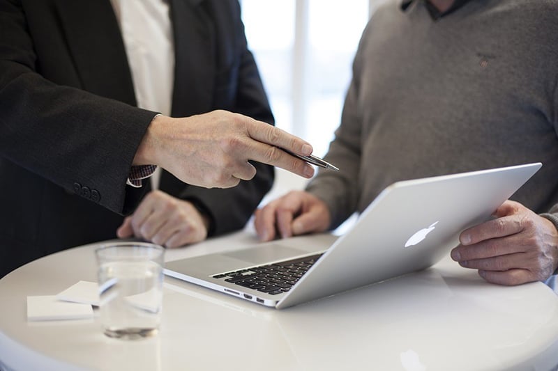 Business consultant pointing at something on laptop