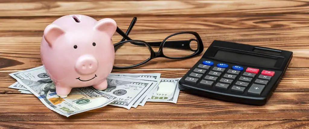 understanding the needs of your business - piggy bank and dollars