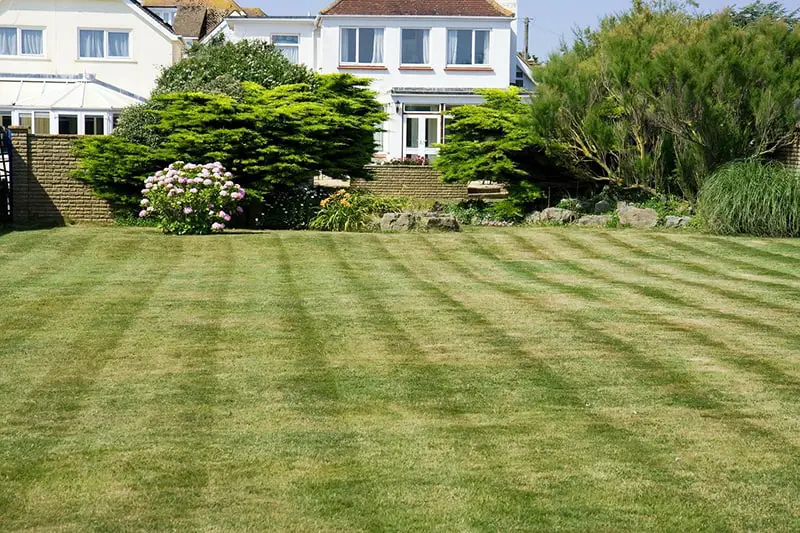 freshly cut lawn - back garden of house