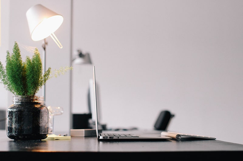 plant on desk with laptop and lamp in a home office