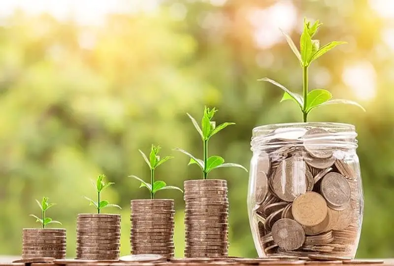 Money in stacks and jar with plant shoots depicting money growth