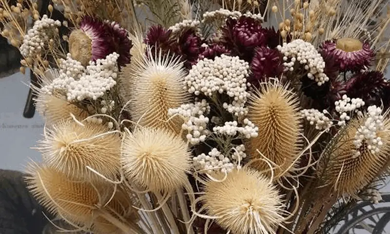 Dried flowers - flower business