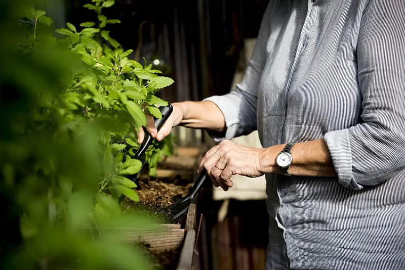 retired woman gardening