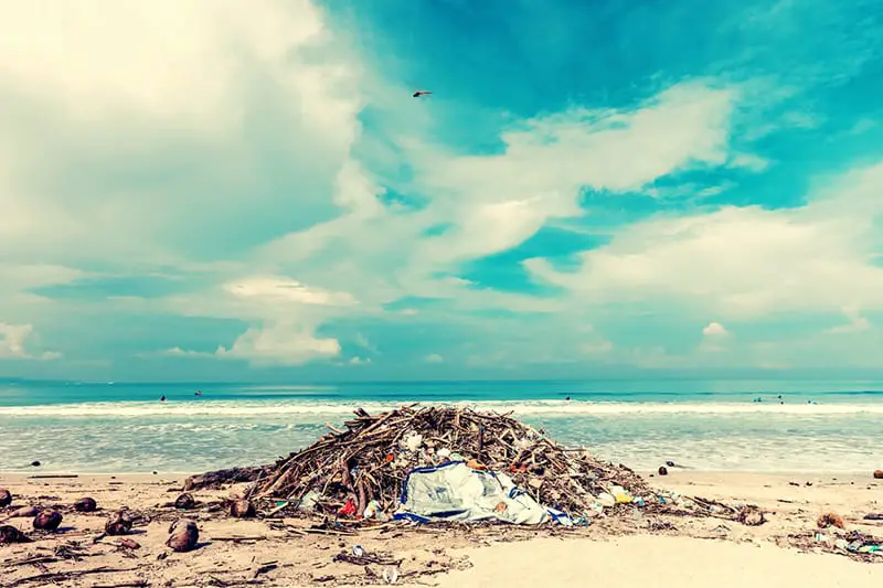 Waste on sea shore - damaging the environment