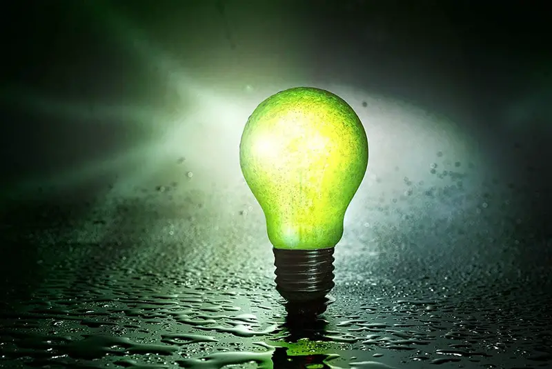 green energy – light bulb fruit pear water