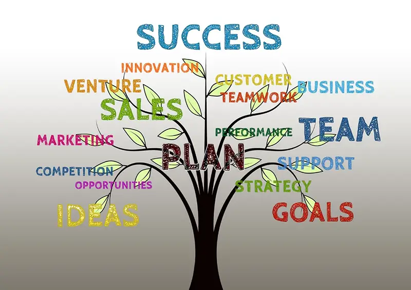 Success Infographic for marketing strategies