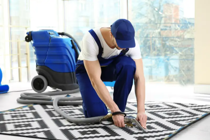 Dry cleaner's employee removing dirt from carpet in flat