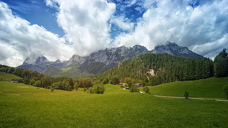 Nature green landscape of the field