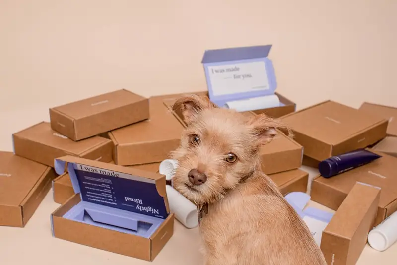 Dog next to pile of packages and mailing boxes for online business