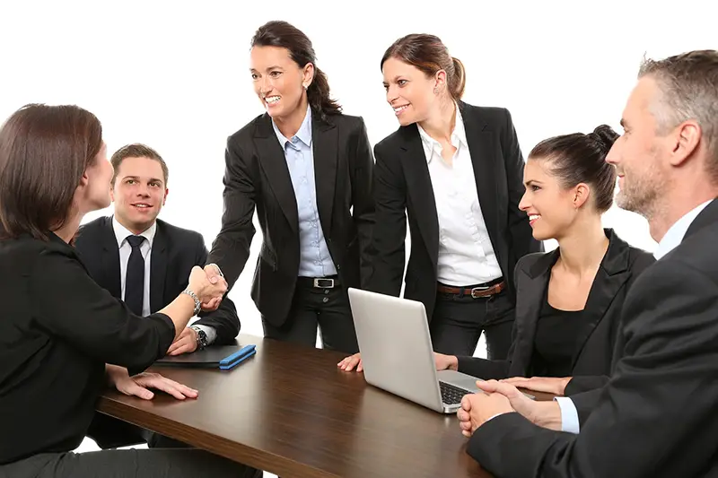 A group of employees in a business meeting