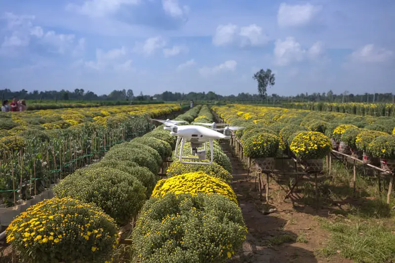 phantom drone flying over agricultural fields