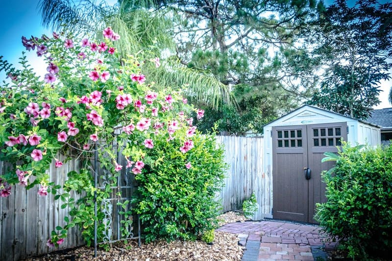 Shed in yard with flowers