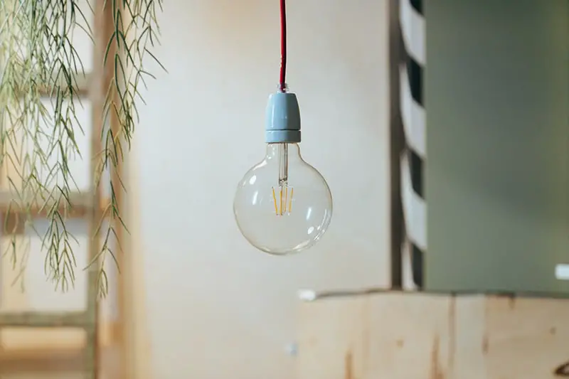 Red and white light bulb