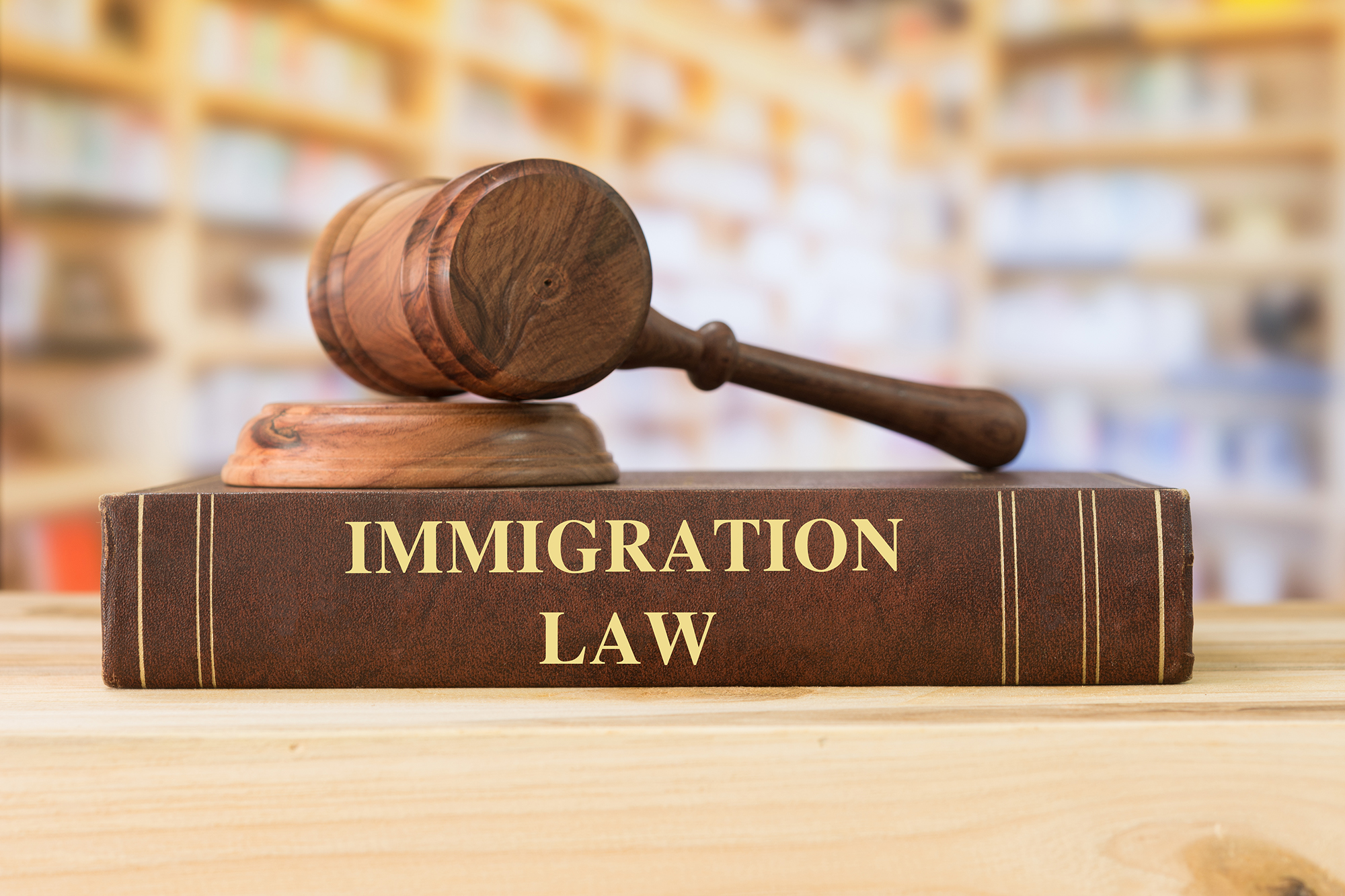 Immigration law books and judges gavel