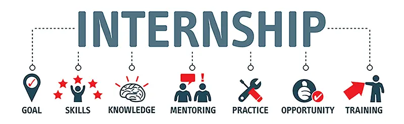 Internship infographic chart