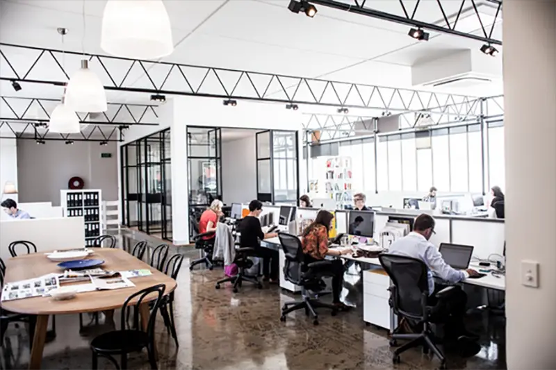 Open plan office with team members working on business branding