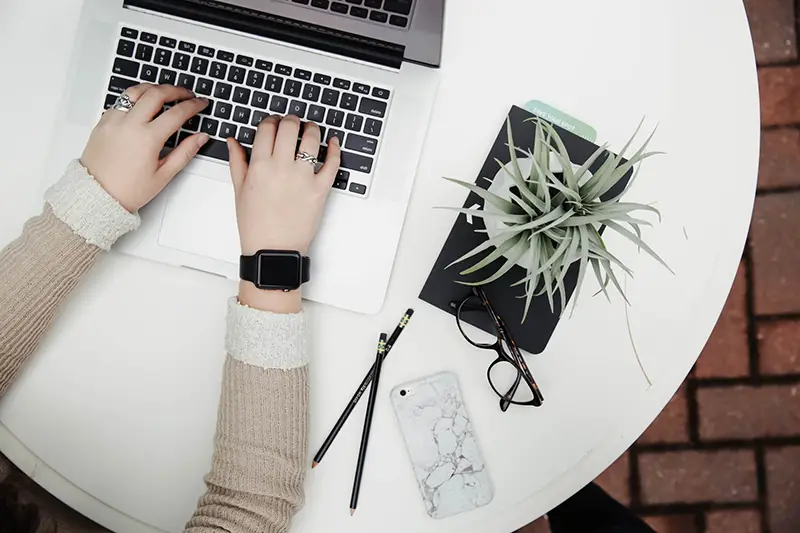 Person typing on a laptop next to a plant