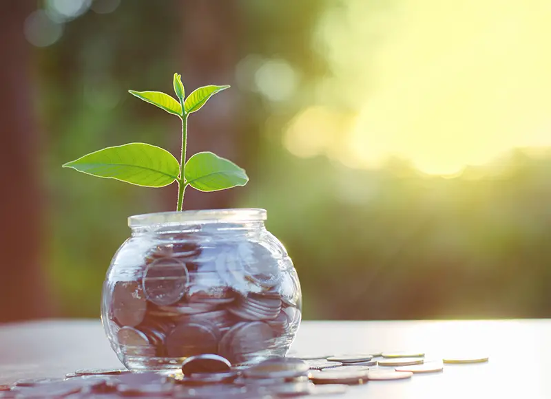 Sprout growing on glass piggy bank