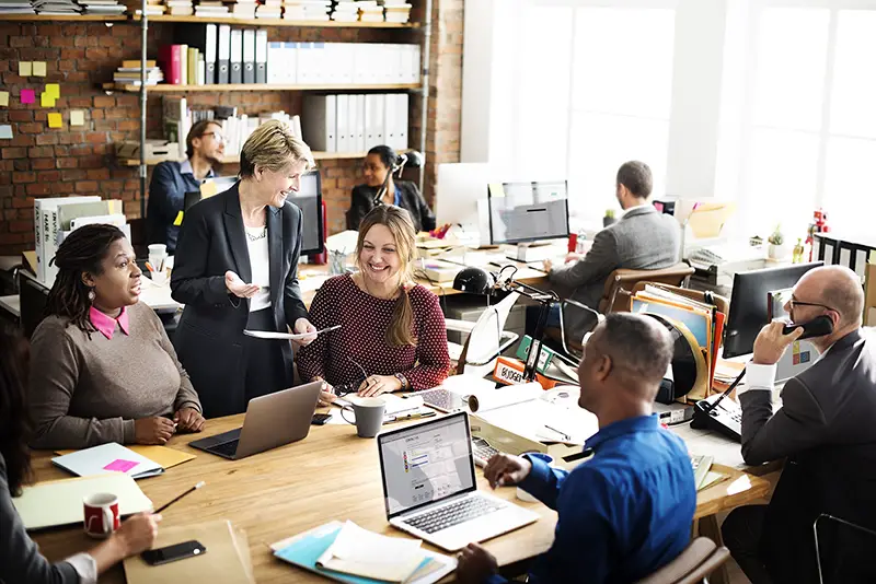 Business team working in an office