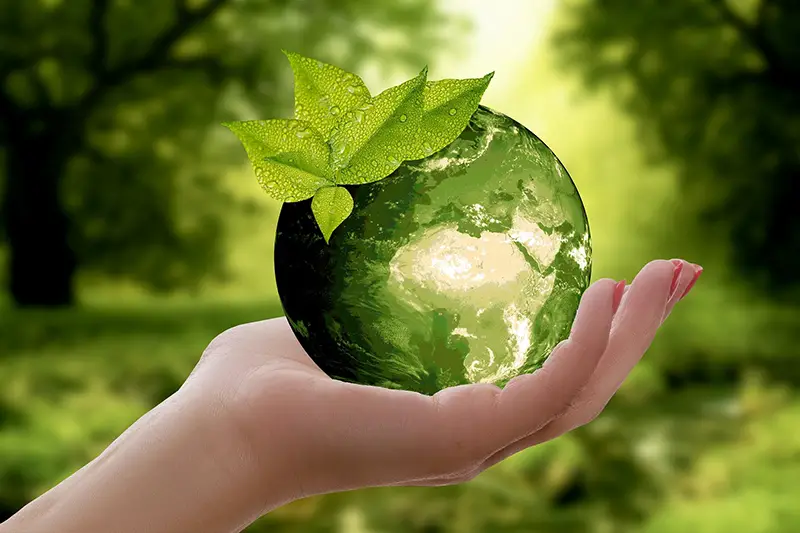 Nature earth sustainability
