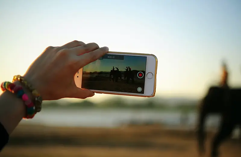 Person taking photo of elephant