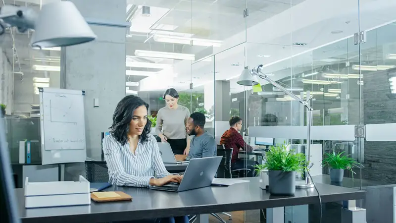 Busy International Office where Diverse Team of Young Businesswomen and Businessmen Work on Laptops, Have Meetings, Discussions and Draw Plans on a Whiteboard.