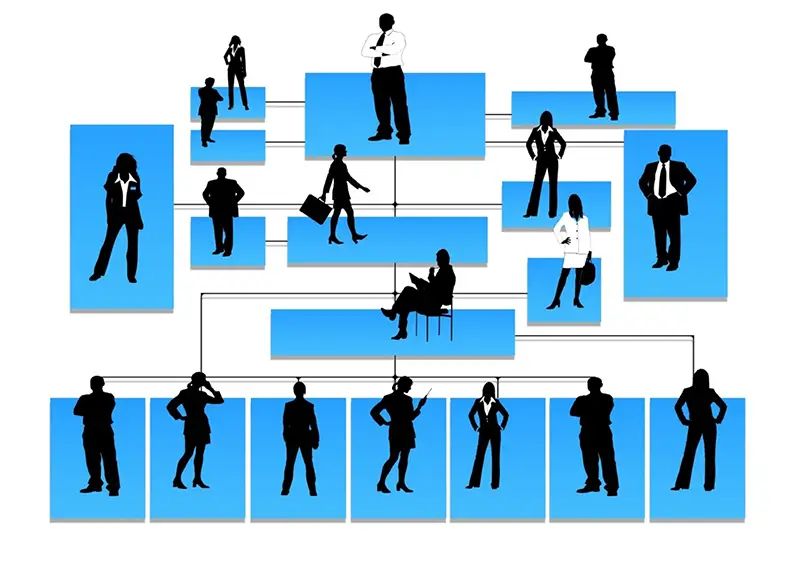 Organizational chart of people illustration