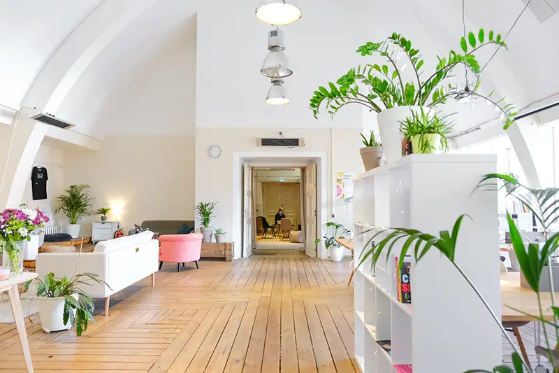 fresh looking living room with indoor plants