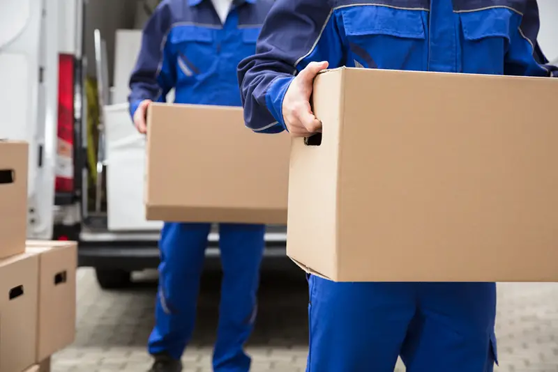 Close-up Of Two Mover's Hand In Uniform Carrying Cardboard Box - relocation