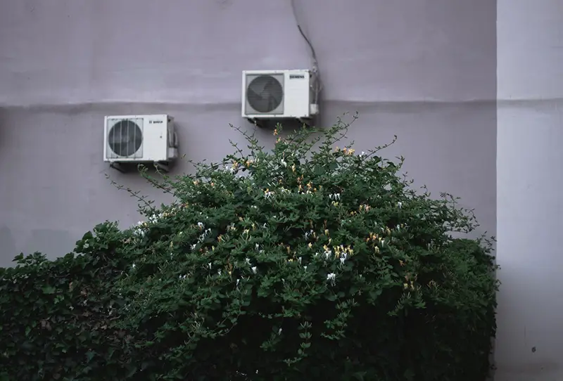 green leaf of bushes in front of house with air con units on the wall