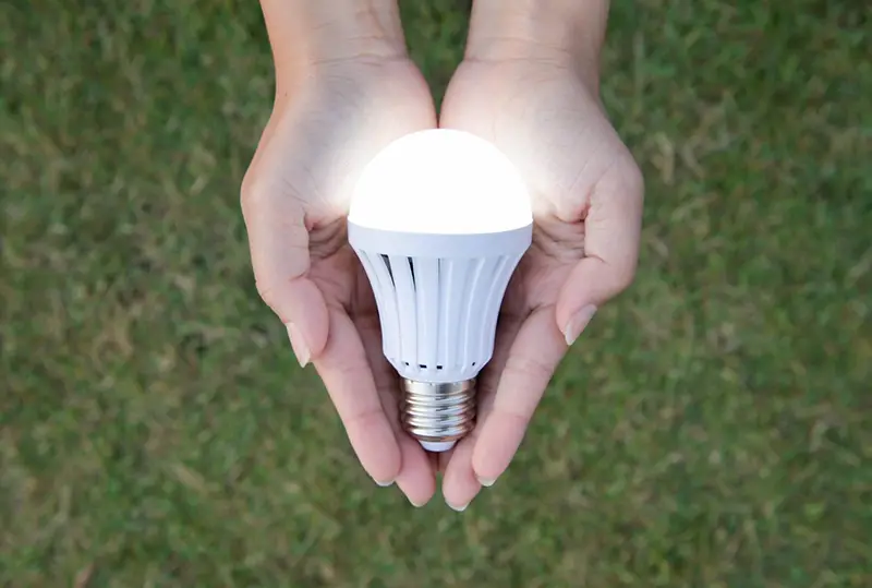 Bulb lights on person hands