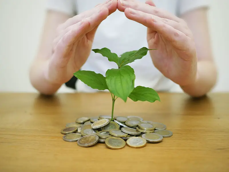 Coins and small plant on top of brown wooden table