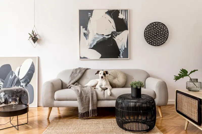 Stylish and scandinavian living room interior of modern apartment with gray sofa, design wooden commode, black table, lamp, abstrac paintings on the wall. Beautiful dog lying on the couch.