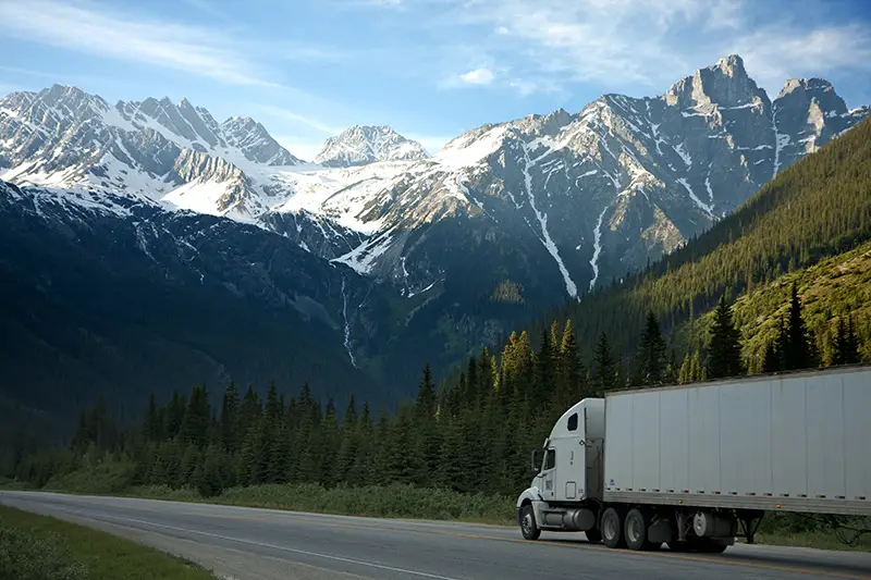 white dump truck near pine trees during day time