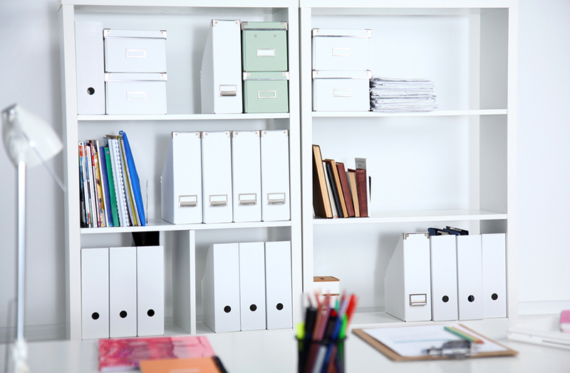 File folders, standing on the shelves in a home office
