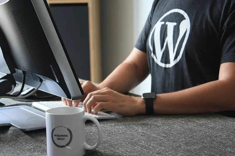 Person wearing black t-shirt with wordPress logo