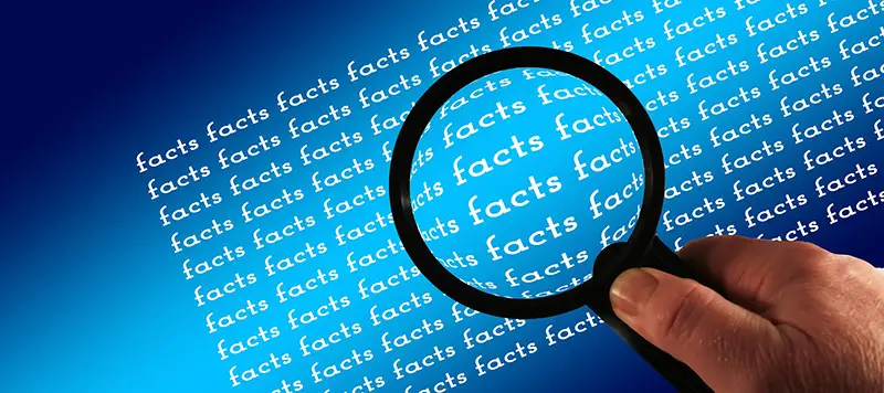 Magnifying glass facts examine