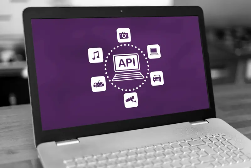 API concept on laptop