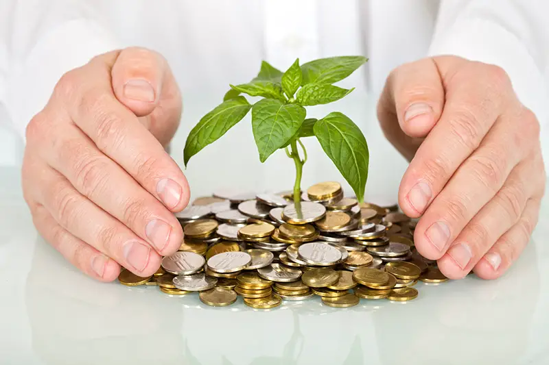 Hands of person covering the plant around the coins