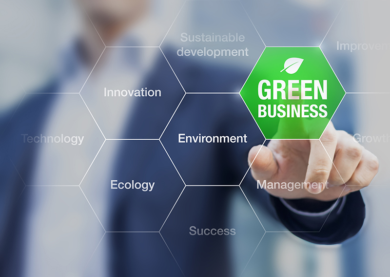 Businessman and green business concept